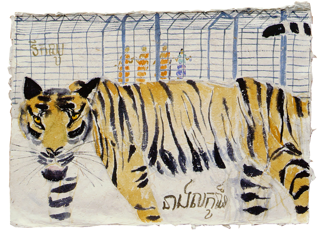 Kampuchia--Lian-Tiger-from-Kompot-zoo